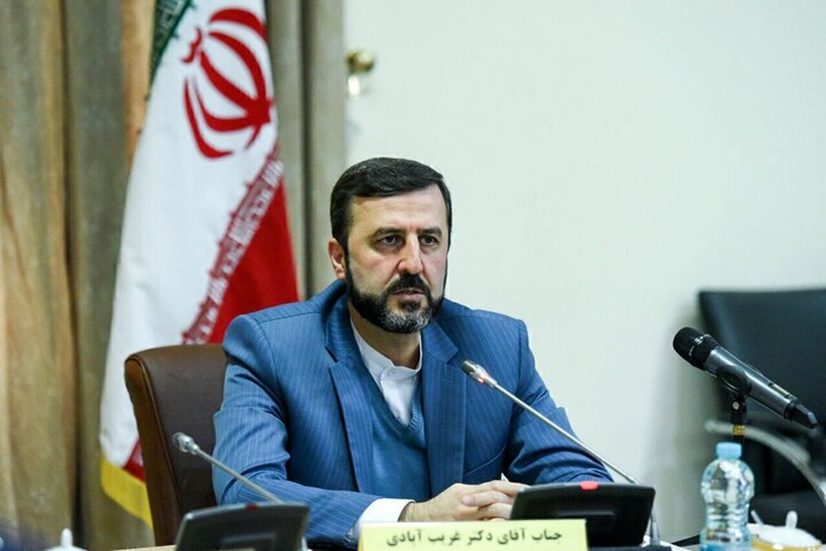 غریب‌آبادی: پیگیری‌ بین‌المللی پرونده‌های مصدومین شیمیایی و ترور برای ما مهم است