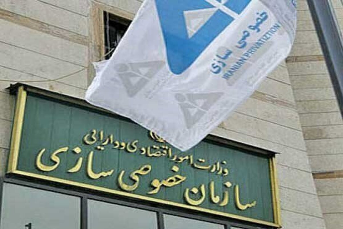 رئیس سازمان خصوصی‌سازی منصوب شد