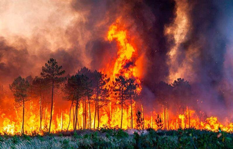 اظهارنظر دانشمندان درباره گرمایش زمین/ گرما زمین را میبلعد اظهارنظر دانشمندان درباره گرمایش زمین/ گرما زمین را میبلعد