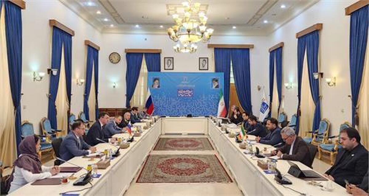 روسیه در حوزه کودکان از تجارب اینترنتی ایران استفاده میکند