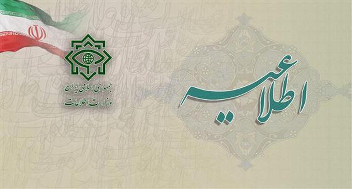 وزارت اطلاعات: هتک حرمت قرآن برای انحراف اذهان از جنایت جنین بود