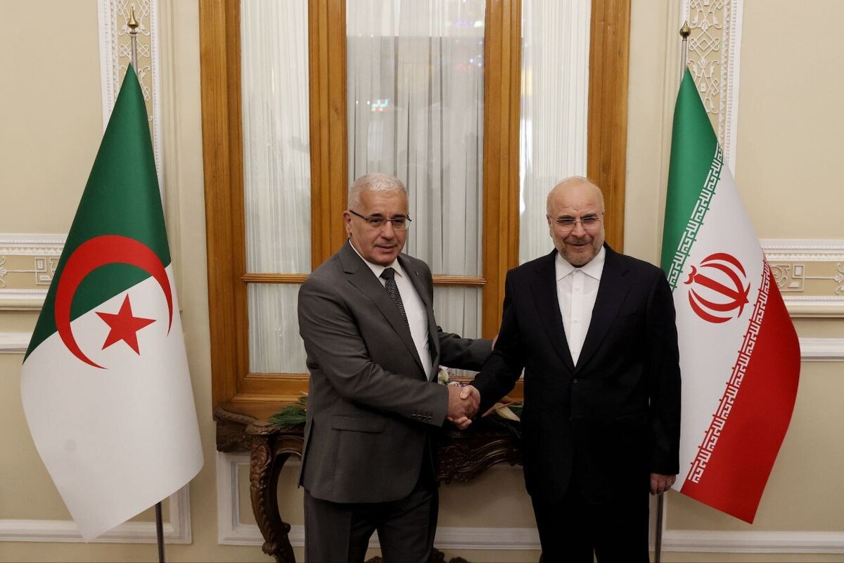رئیس مجلس الجزایر با استقبال قالیباف وارد بهارستان شد