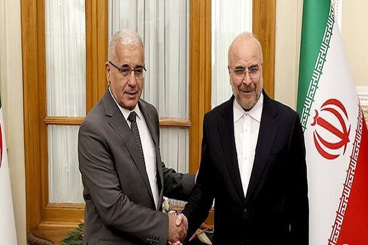 تأکید رؤسای مجالس ایران و الجزایر بر گسترش همکاریهای علمی در حوزه دانشبنیان