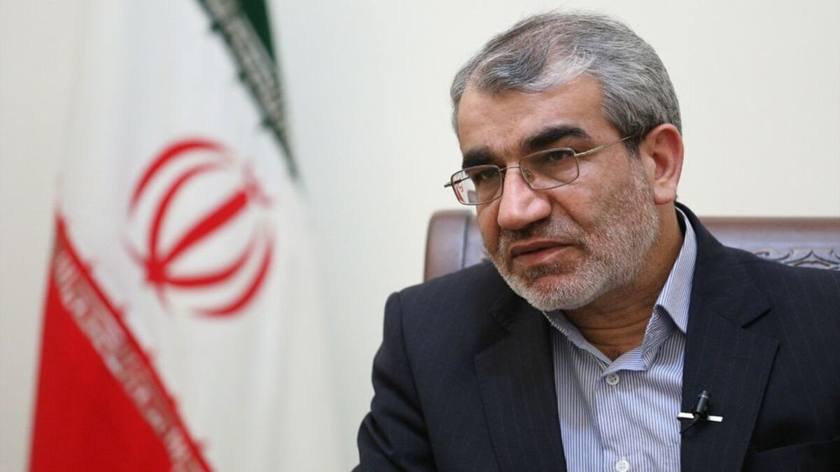 کدخدایی: اصلاح قانون انتخابات «حداقلی» بود