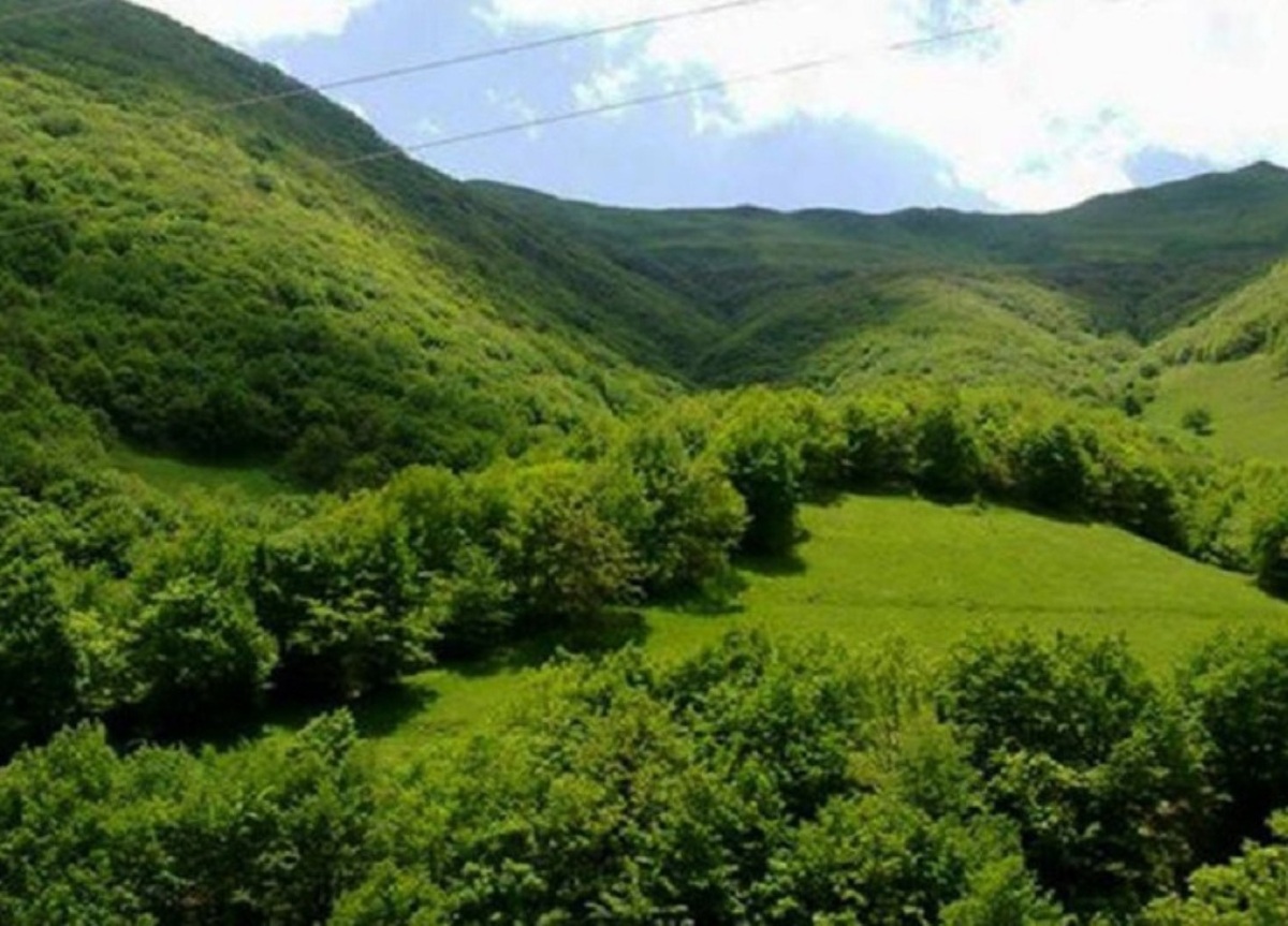 استفاده از ظرفیت نخبگان در حفظ منابع طبیعی