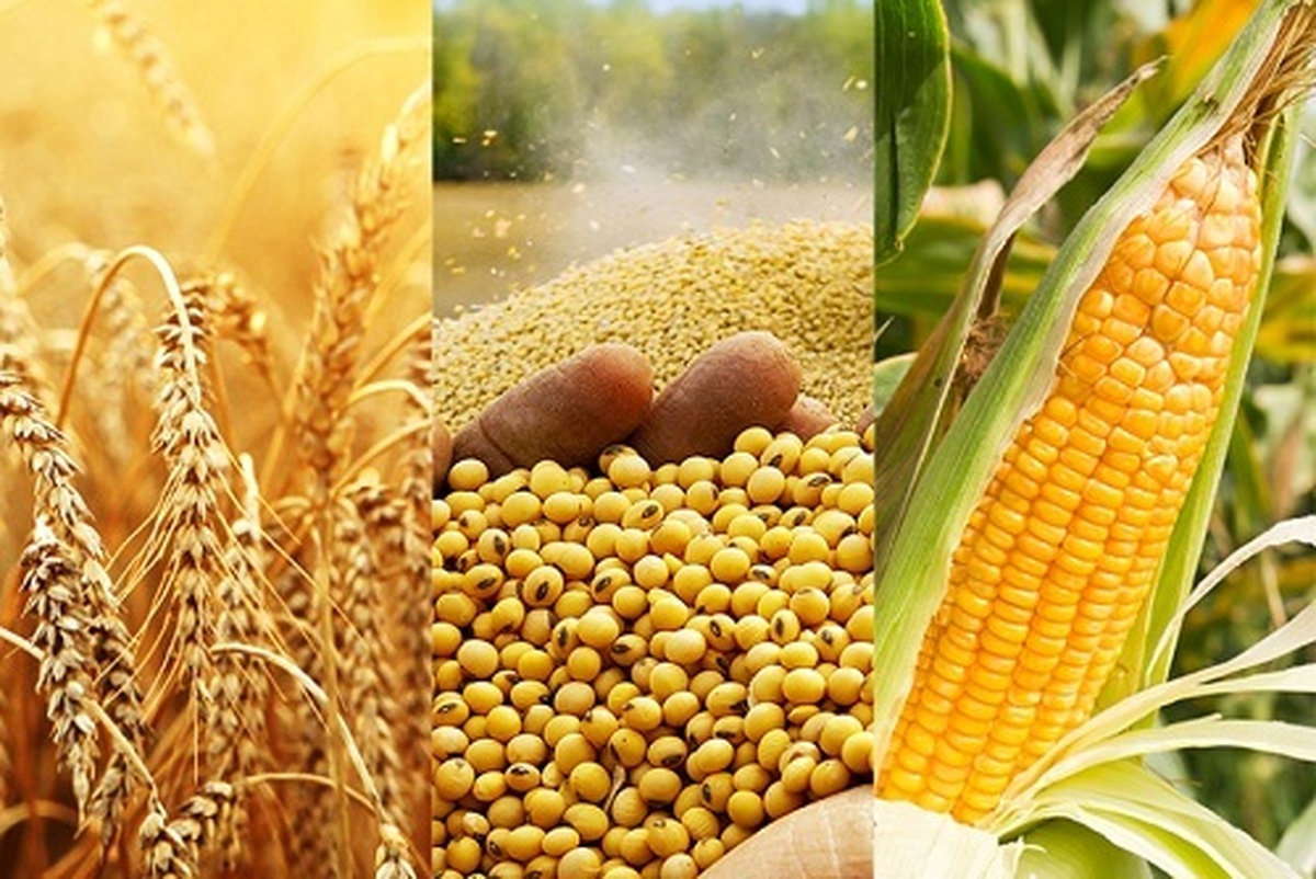 جنگ اوکراین رویکرد تأمین امنیت غذایی را تغییر داد