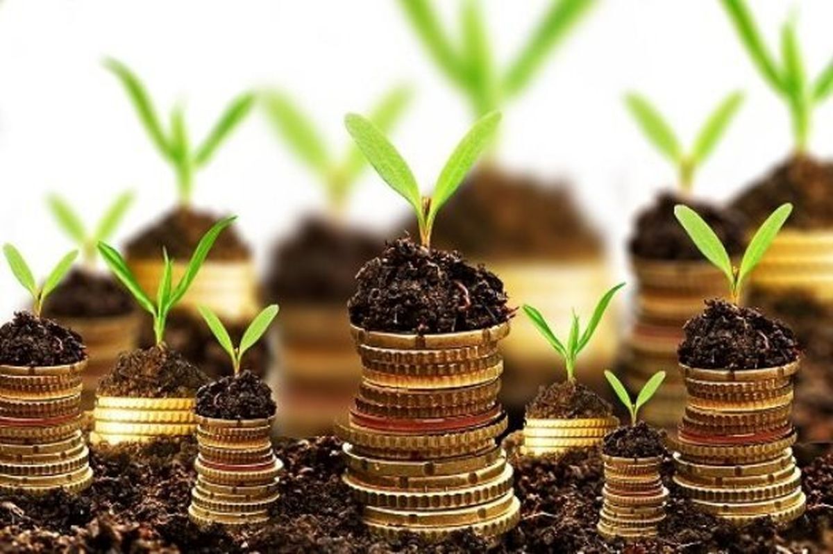 تسهیلات ارائه‌ شده به شرکت‌های دانش‌بنیان ناچیز است