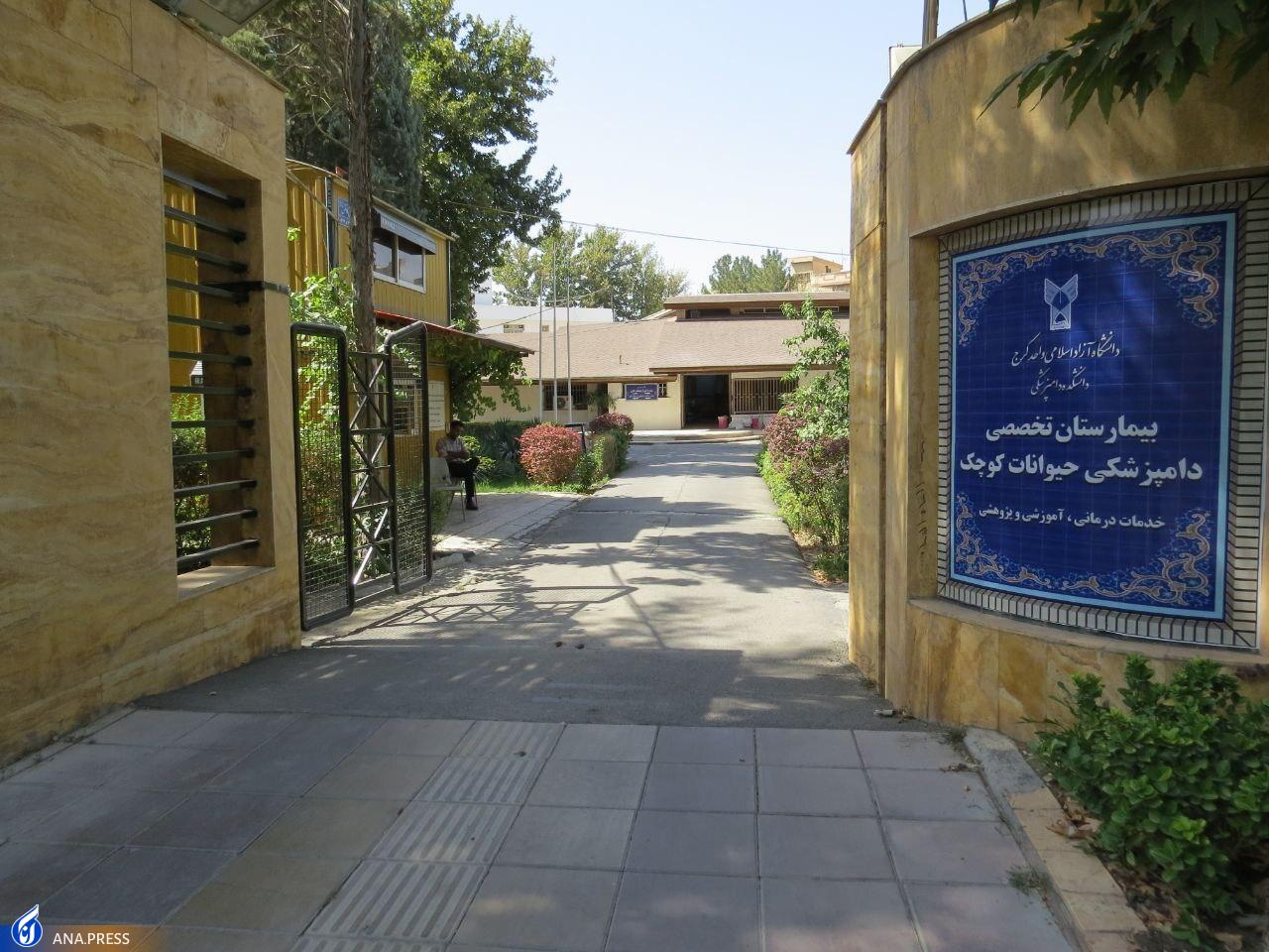 پیشگامی دانشگاه آزاد در درمان بیماریهای مشترک انسان و دام پیشگامی دانشگاه آزاد در درمان بیماریهای مشترک انسان و دام