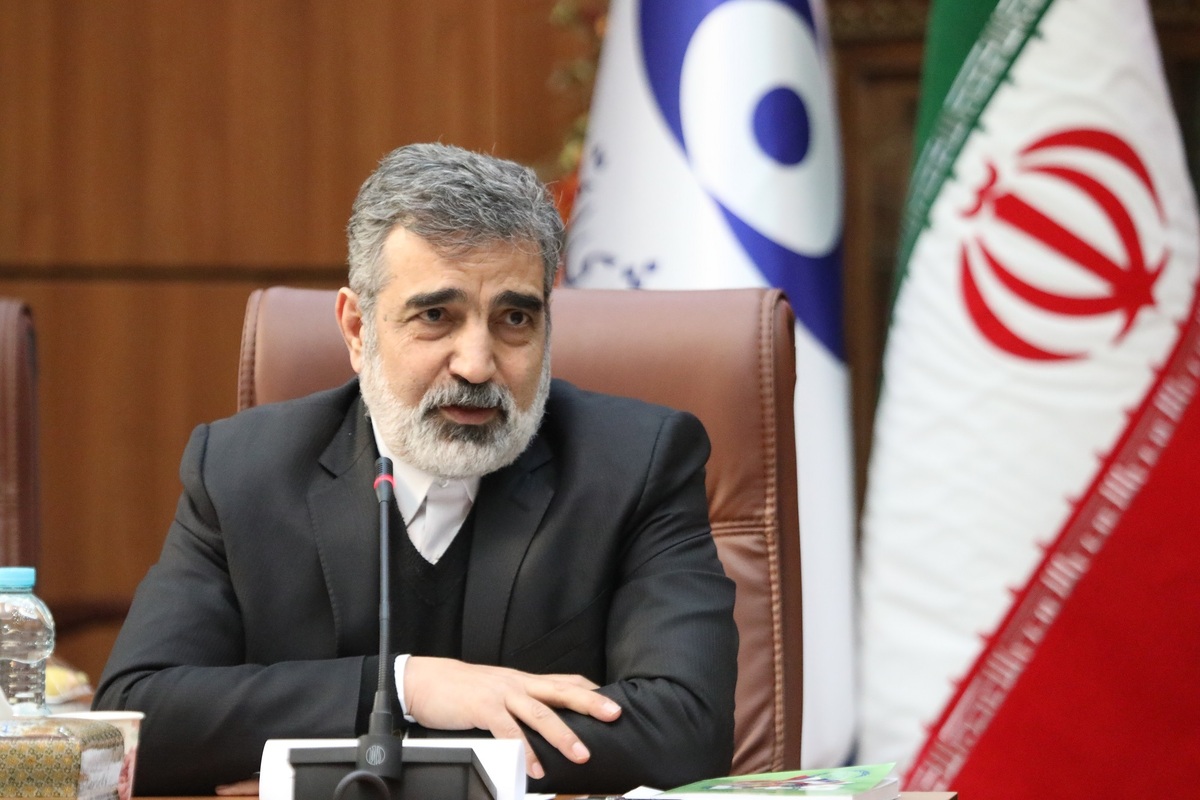 کمالوندی: ۵ دستاورد هستهای ایران در اتریش به نمایش درمیآید