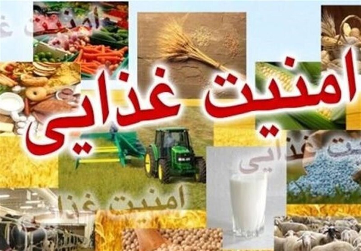 سابقه ۵۶ ساله قانون غذای کشور! سند ملی ایمنی مواد غذایی تدوین شود