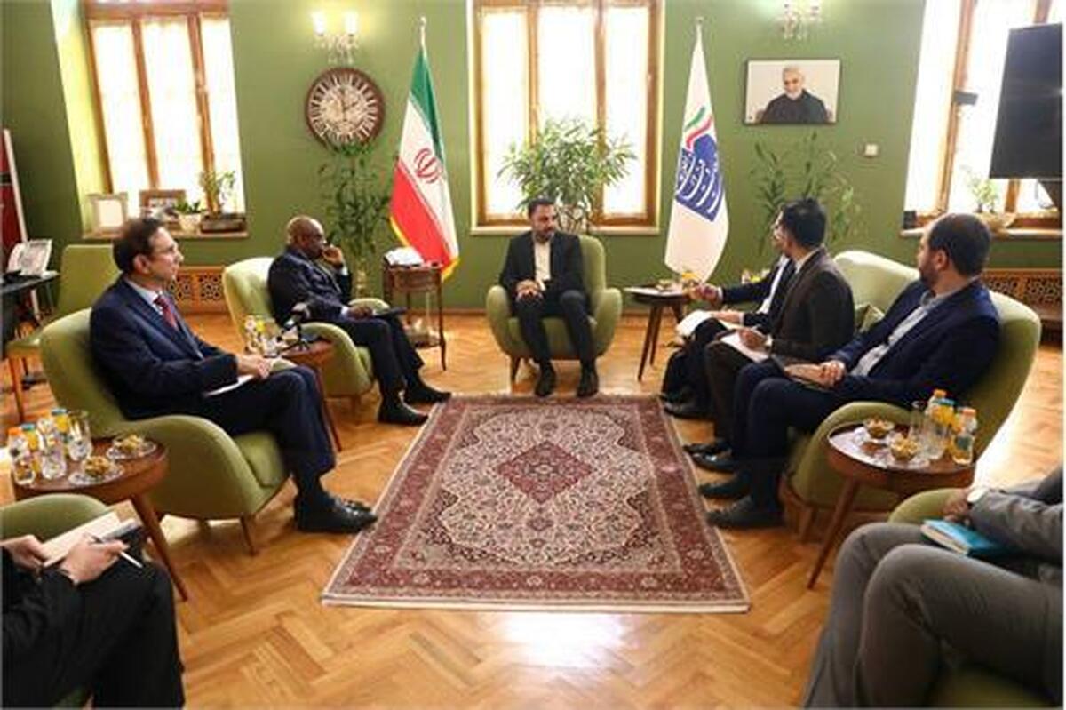 وزیر ارتباطات با دبیرکل کشورهای عضو گروه «دی ۸» دیدار کرد