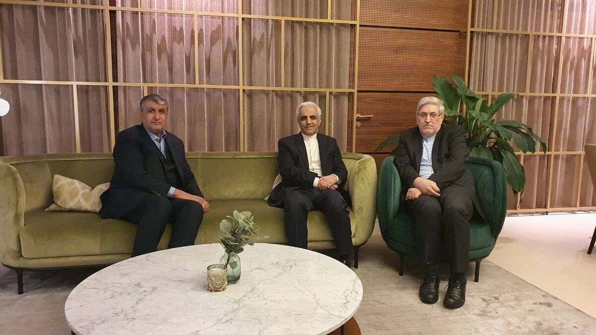 رئیس سازمان انرژی اتمی ایران وارد وین شد