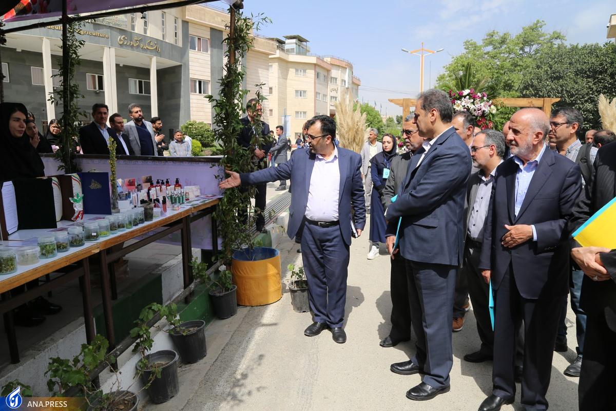 سامانه ملی «مدیریت هوشمند و شبکهای باغبانی» راهاندازی میشود