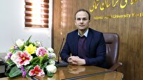 بررسی جامع ظرفیت زیست پزشکی نانوذرات وانادات آهن