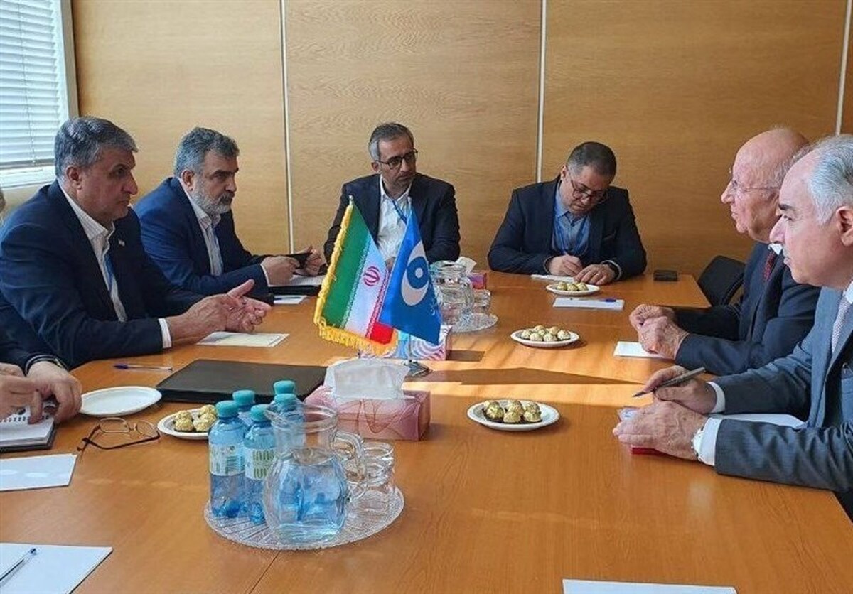 دیدار اسلامی با رئیس کمیسیون انرژی اتمی پاکستان