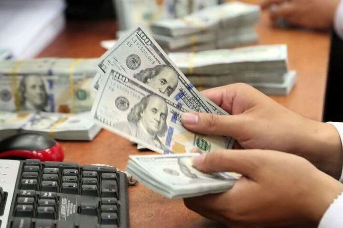 جزئیات تخصیص ارز از زبان معاون ارزی بانک مرکزی