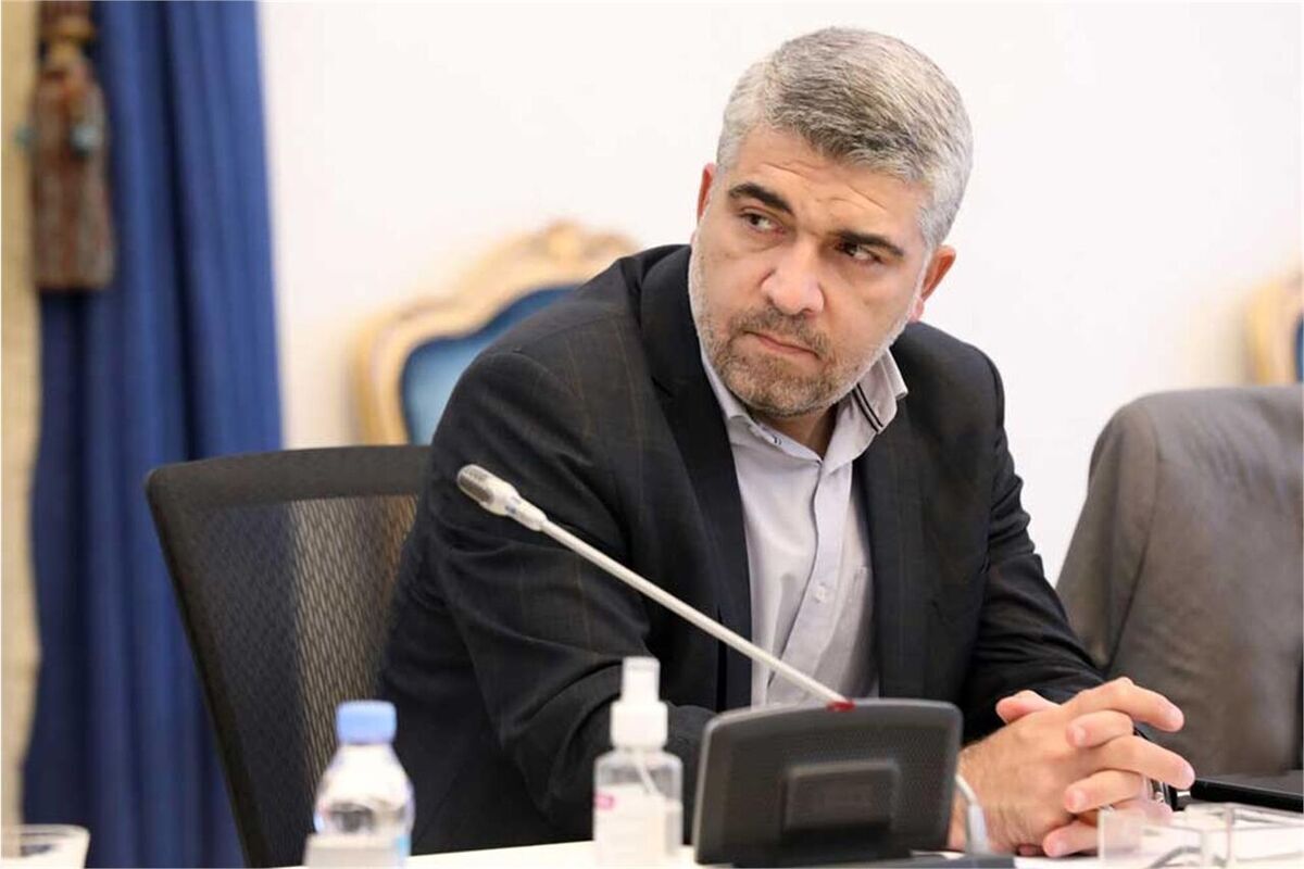 سکوهای داخلی نقش پررنگی در اقتصاد دیجیتال کشور دارند