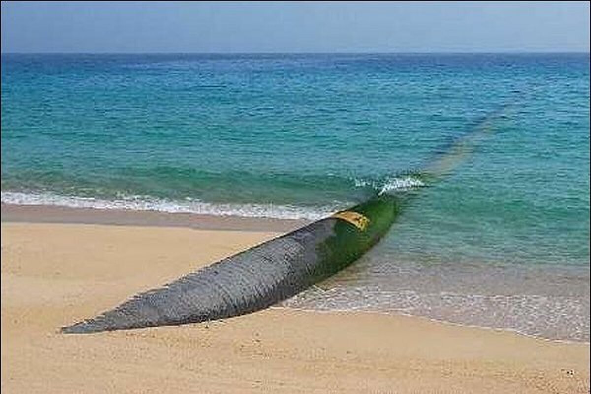 آب دریای عمان به کمک احیای زایندهرود میرود
