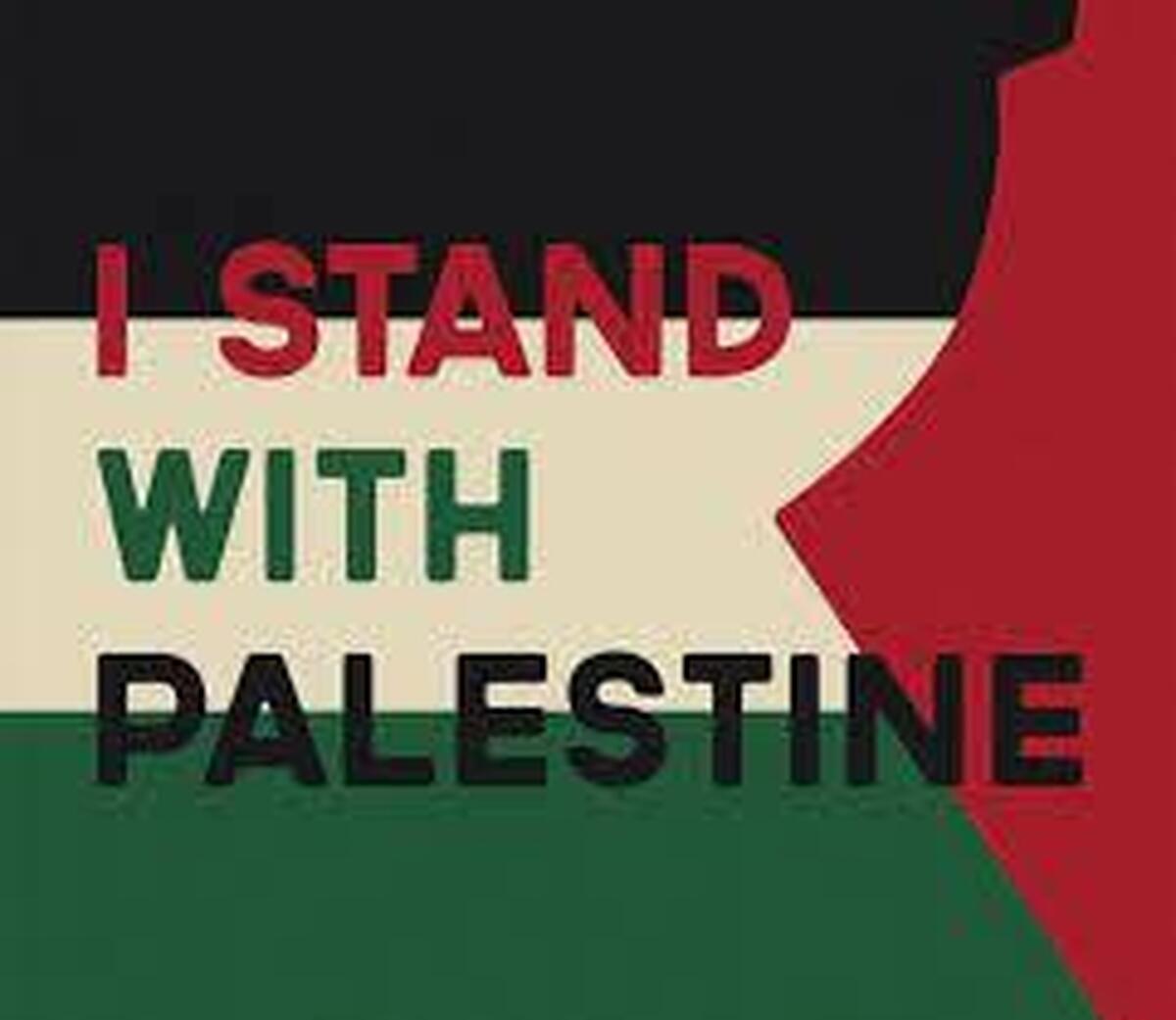 حمایت از فلسطین با رکوردشکنی هشتگی در تیکتاک