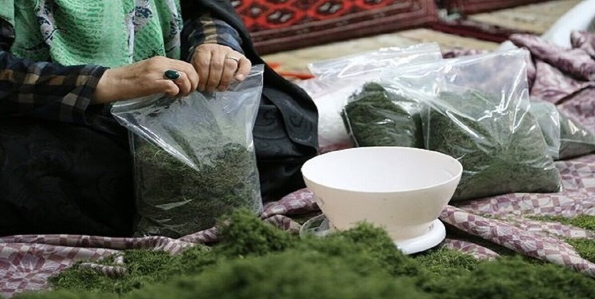 رشتههای جدید وارد بازار مشاغل خانگی می شود