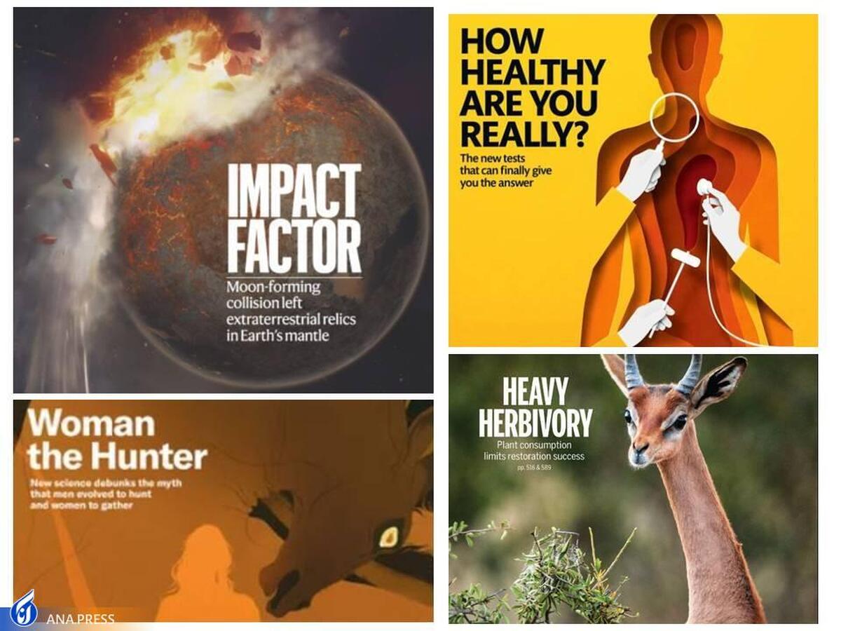 هفتۀ نخست نوامبر ۲۰۲۳