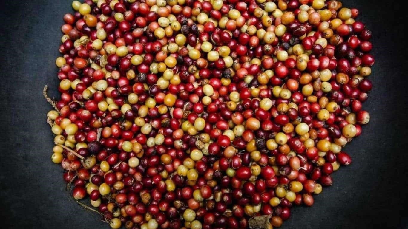 نکات موثر برای خرید قهوه نکات موثر برای خرید قهوه