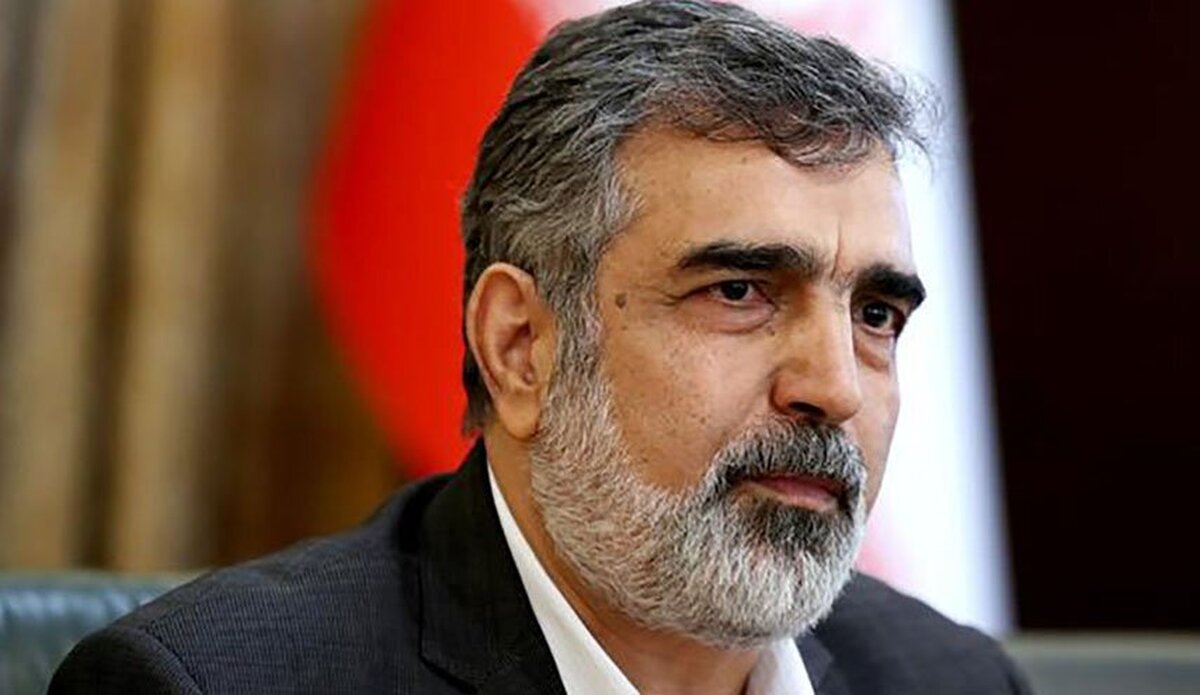 رونمایی از ۱۵۰ دستاورد هستهای طی یکسال گذشته