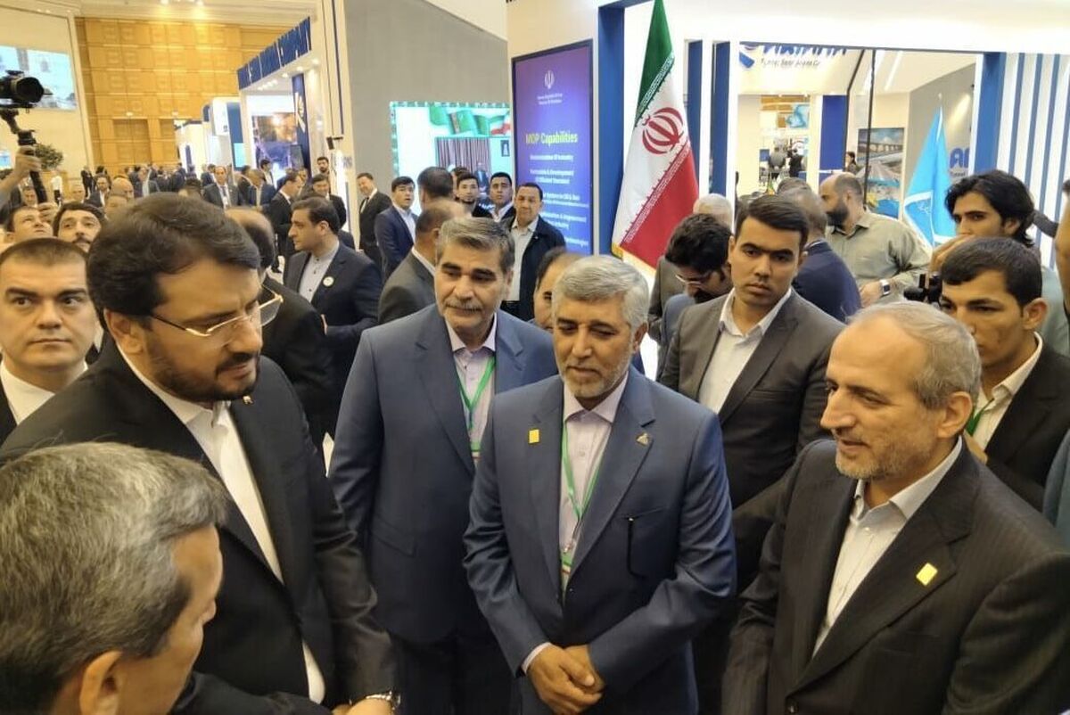 رایزنی ایران با شرکتهای خارجی برای صدور خدمات فنی و مهندسی صنعت گاز
