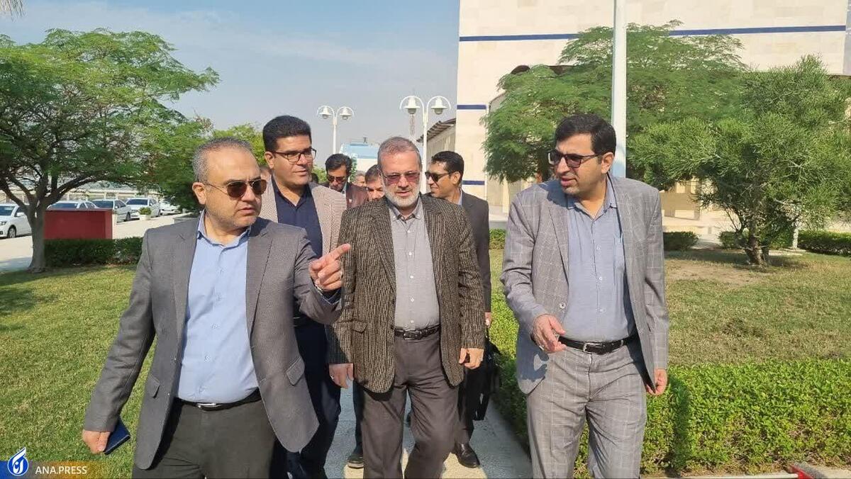 سروری مجد: دفتر مشترک دانشگاه آزاد و صنایع عسلویه تشکیل شود