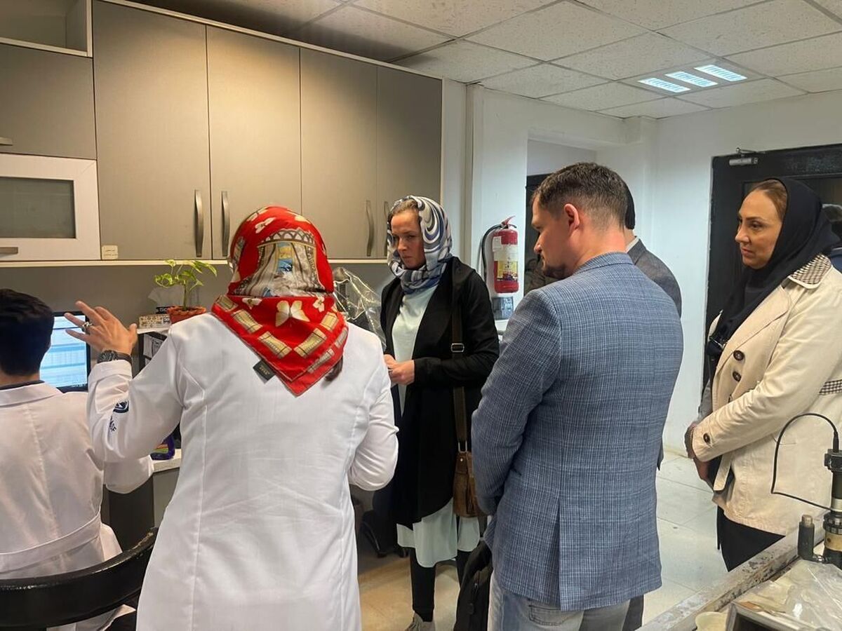 روسها ظرفیتهای ایران در حوزه زمینشناسی را بررسی کردند