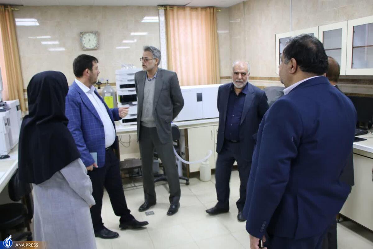 راهاندازی نخستین سکوی گوهرسنگها از تأمین تا توزیع در دانشگاه آزاد شهید سلیمانی