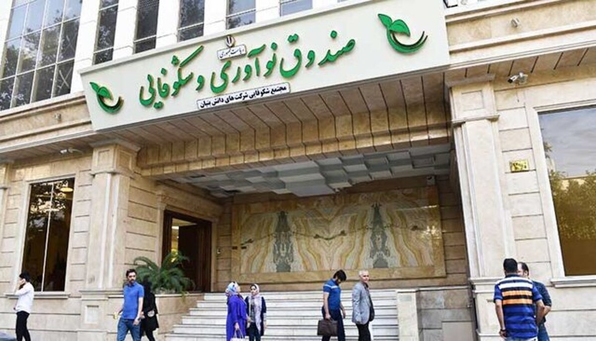 صندوق نوآوری و شکوفایی چه خدماتی به دانش‌بنیان‌ها ارائه می‌کند؟