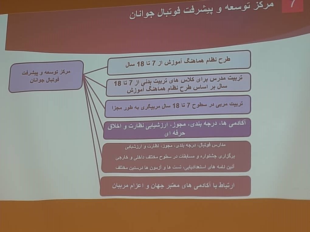 اساسنامه فدراسیون فوتبال در مورد تکنیکال دایرکتور چه می‌گوید؟/ماجدی: هیچ وقت چنین سطح از اختیاراتی در این سمت نداشتم