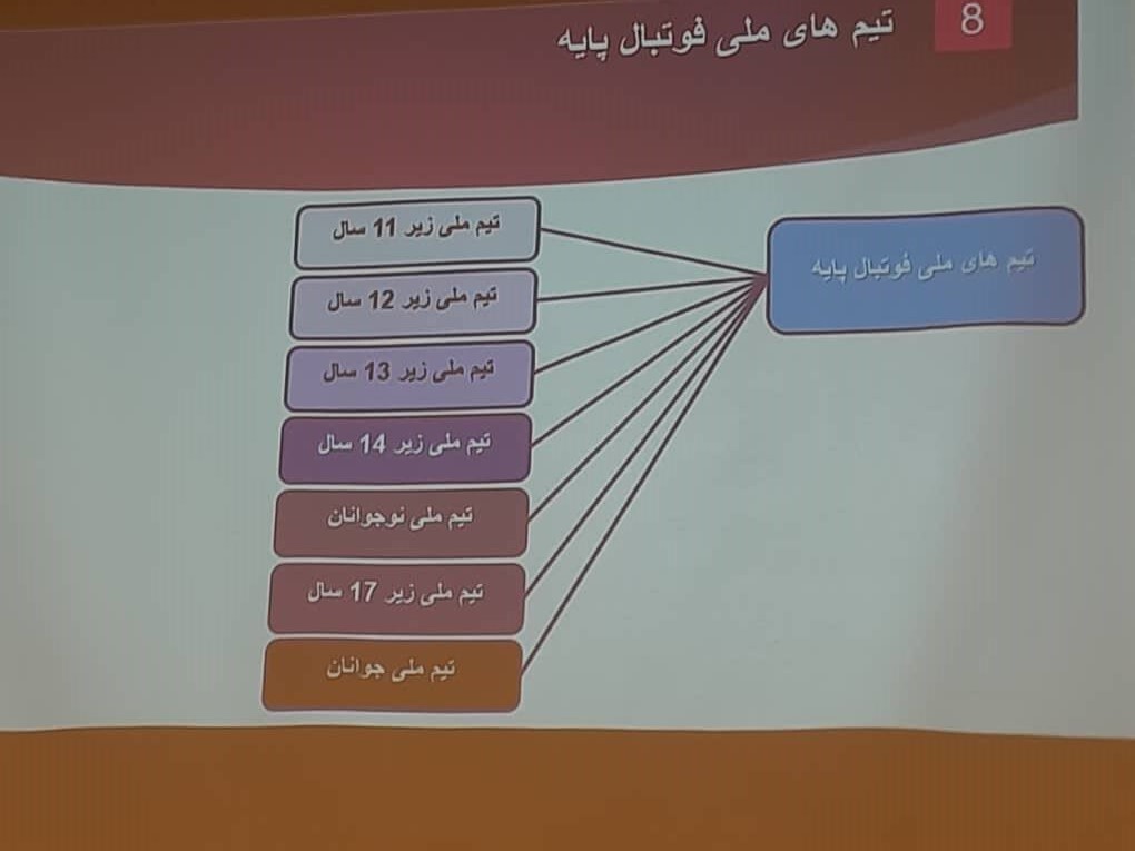 اساسنامه فدراسیون فوتبال در مورد تکنیکال دایرکتور چه می‌گوید؟/ماجدی: هیچ وقت چنین سطح از اختیاراتی در این سمت نداشتم