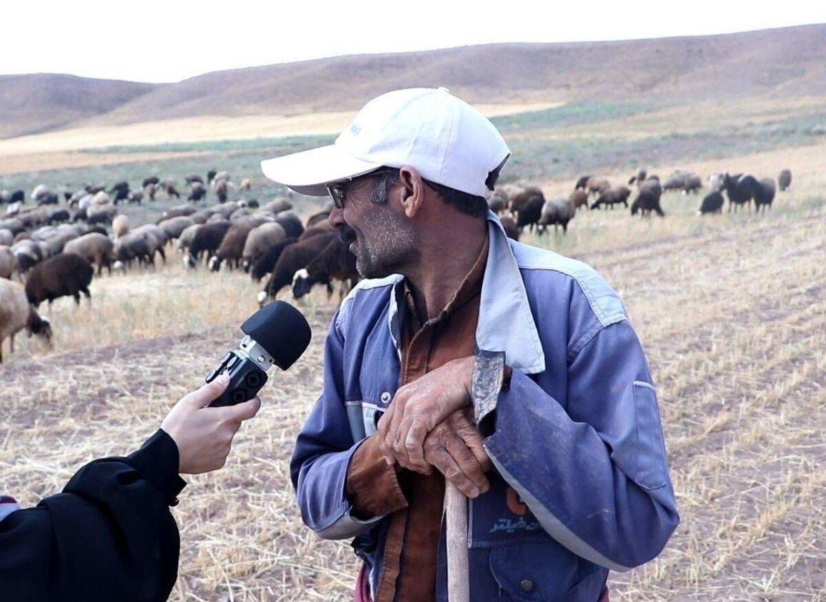 پخش ادامه «دومینو» پس از ۱۵ ماه  مستندی که از فرهنگ سگ‌دوستی می‌گوید