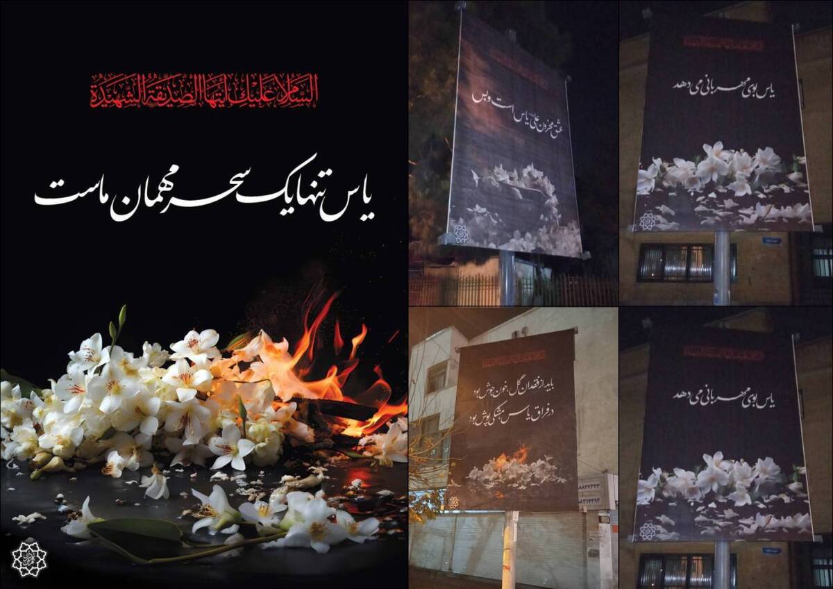 «بوی یاس» در شهر پیچید