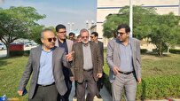 سروری مجد: دفتر مشترک دانشگاه آزاد و صنایع عسلویه تشکیل شود