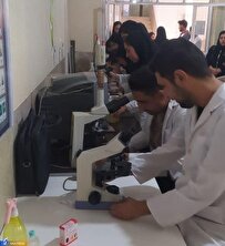نمایش آثار دانشجویان دانشگاه آزاد ارسنجان در رشته‌های «میکروبیولوژی و ژنتیک»