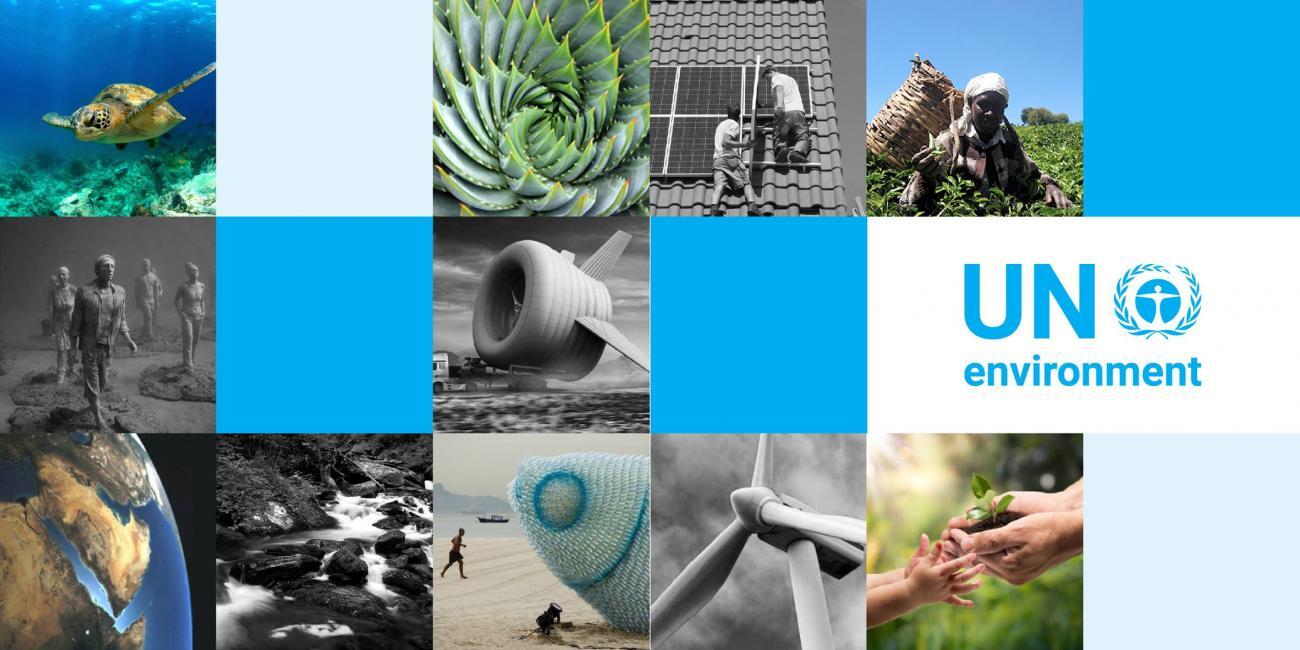 ۲۴ آذر در دنیای علم چه خبر؟ ۲۴ آذر در دنیای علم چه خبر؟