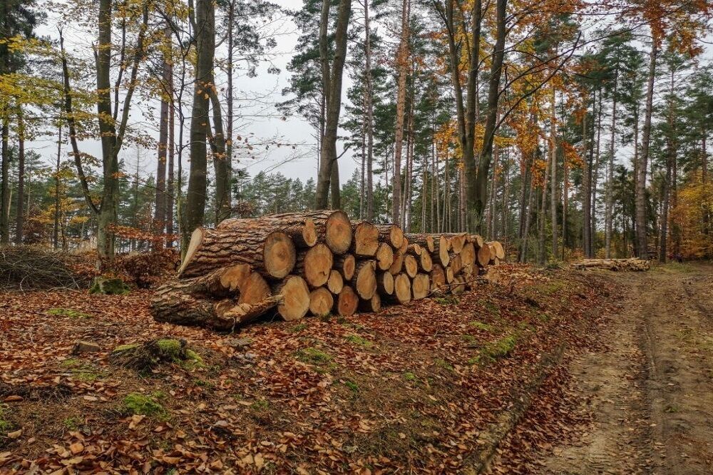 آنچه باید درباره فساد در حوزه محیط زیست بدانیم آنچه باید درباره فساد در حوزه محیط زیست بدانیم