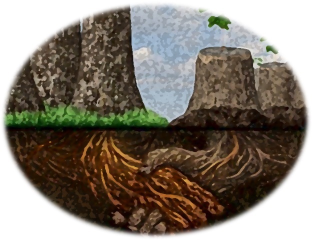 با پروفسور بدانیم؛