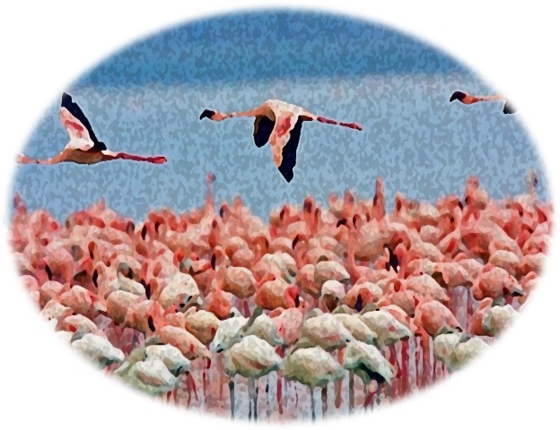 با پروفسور بدانیم؛