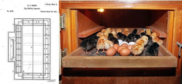 ۱۱ فروردین در دنیای علم چه خبر؟