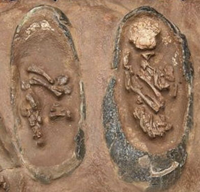 ۱۲ فروردین در دنیای علم چه خبر؟