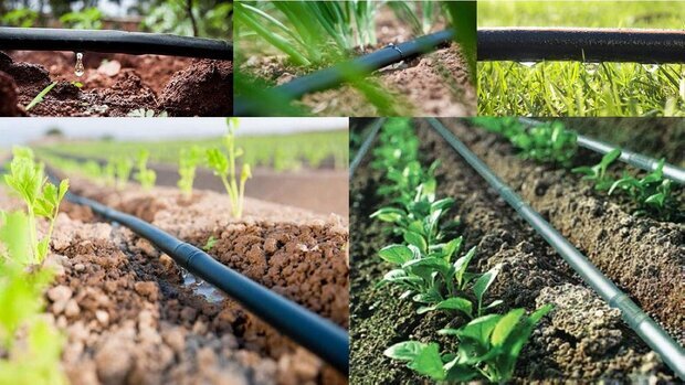 افزایش راندمان مصرف آب درکشاورزی با ظرفیت دانشبنیانها مصرف آب درکشاورزی