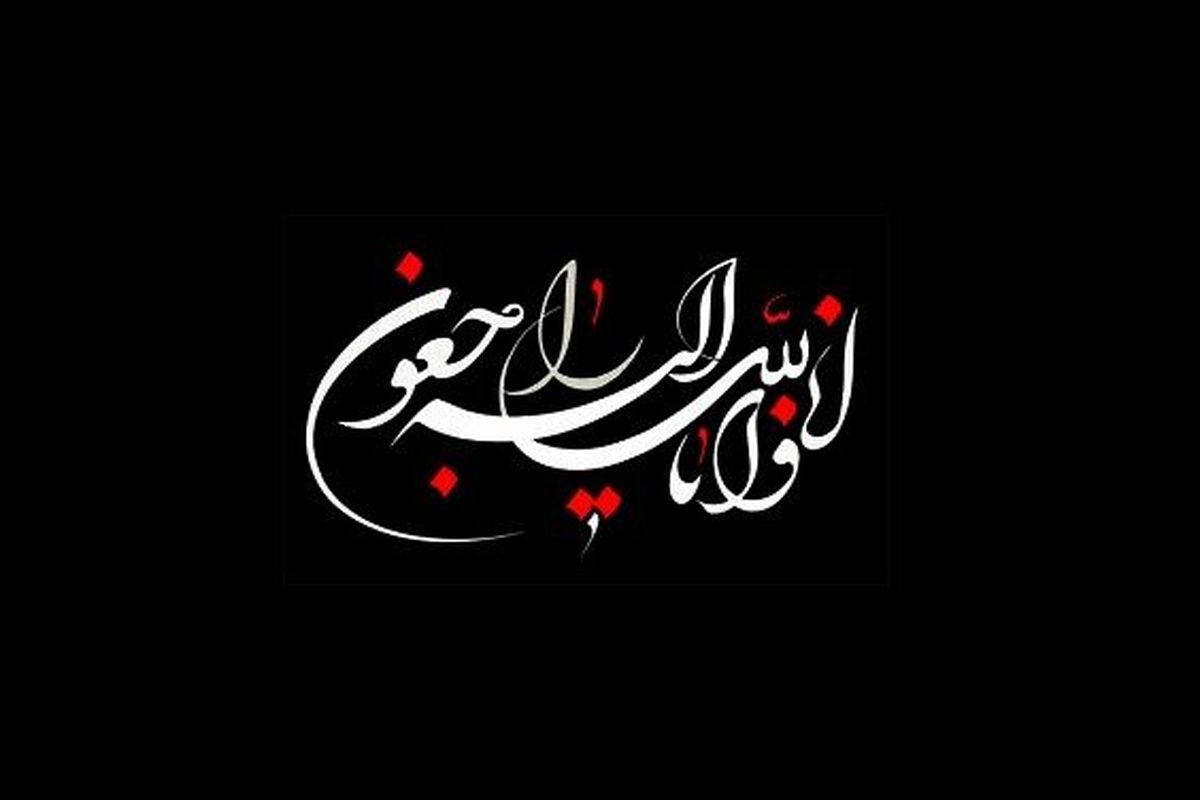 پرویز بابایی، مترجم و نویسنده درگذشت