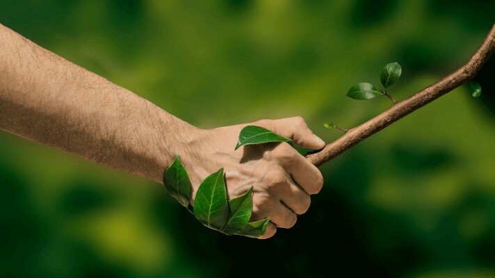 بازاندیشی محیطزیستی در جامعهشناسی ایران بازاندیشی محیطزیستی در جامعهشناسی ایران