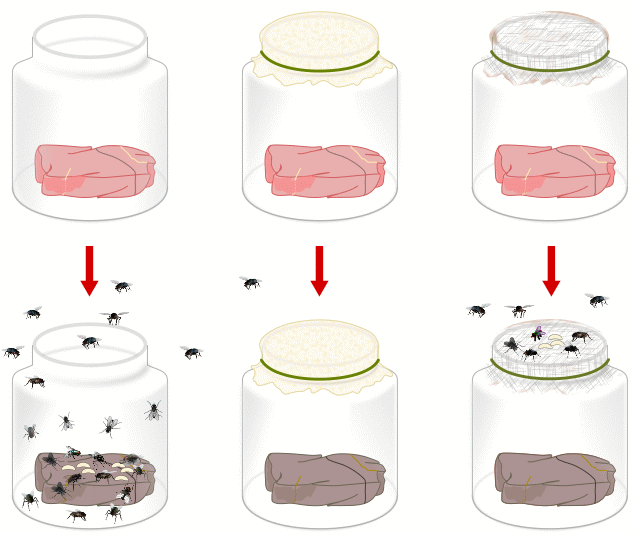حکایت ۳.۸ میلیارد ساله زمین درباره حیات| همهچیز درباره پیدایش زندگی حکایت ۳.۸ میلیارد ساله زمین درباره حیات| همهچیز درباره پیدایش زندگی