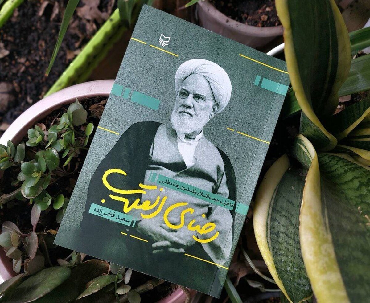 «تاریخ» حلّال مسائل روز جامعه/ خواندن برای مدرک گرفتن آفت است