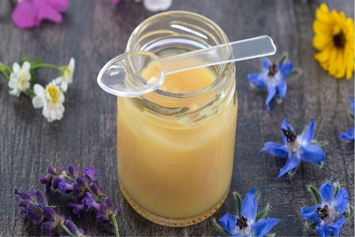 خواص شگفتانگیز ژل رویال معجزه قرن
